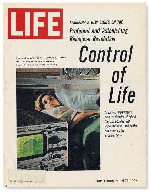 life magazine ultrasound imaging.jpg